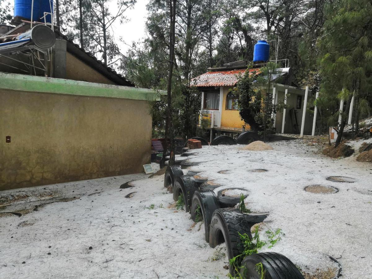 Renta De Cabanas, Centro Ecoturistico Rural Sustentable Labor San Jose San Cristóbal de Las Casas المظهر الخارجي الصورة